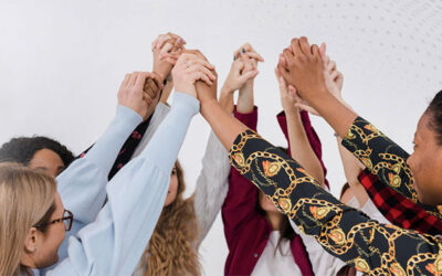 Making the CFC Transition Effortless: Supporting IDD Agencies